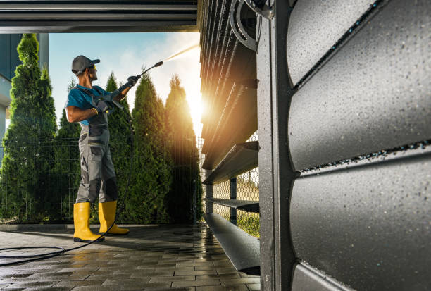 Best Soft Washing for Delicate Surfaces in Isanti, MN